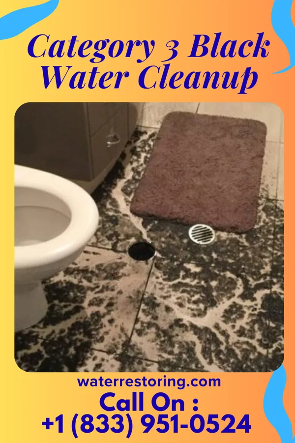 Category 3 Black Water Cleanup in Dayton, KY