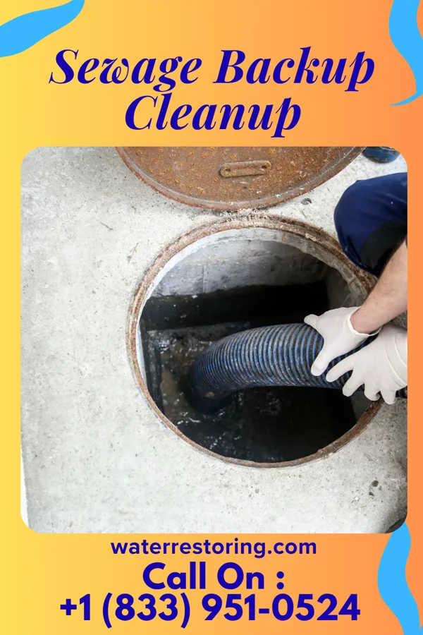 Sewage Backup Cleanup in Dayton, KY
